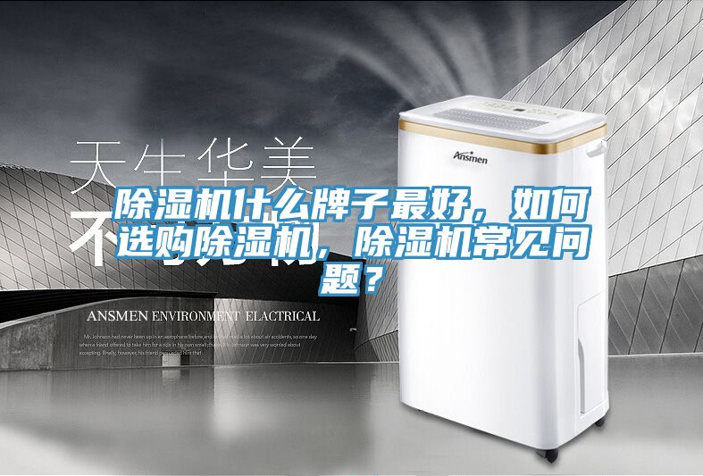 小黄片直播视频什么牌子最好，如何选购小黄片直播视频，小黄片直播视频常见问题？