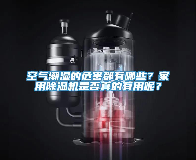空气潮湿的危害都有哪些？家用小黄片直播视频是否真的有用呢？