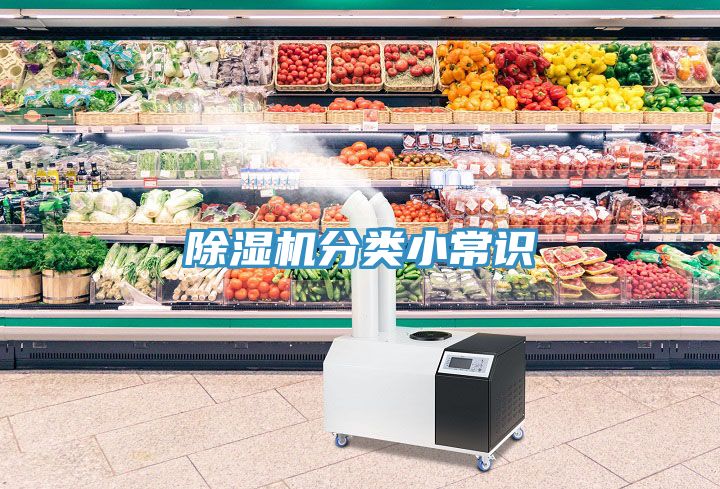 小黄片直播视频分类小常识