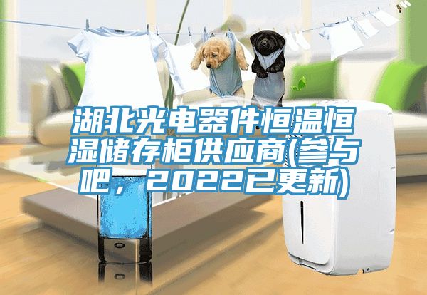 湖北光电器件恒温恒湿储存柜供应商(参与吧，2022已更新)