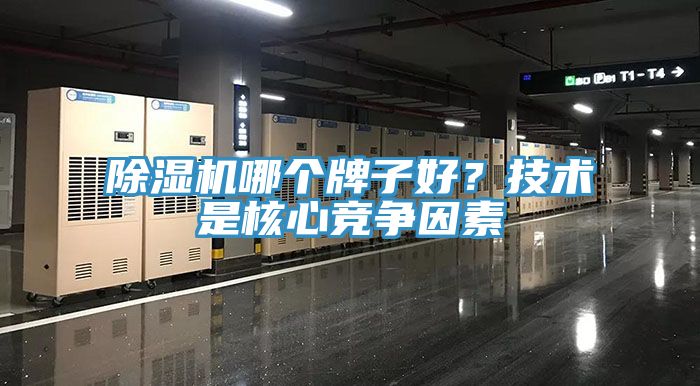 小黄片直播视频哪个牌子好？技术是核心竞争因素