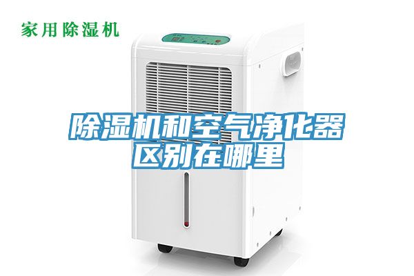 小黄片直播视频和空气净化器区别在哪里