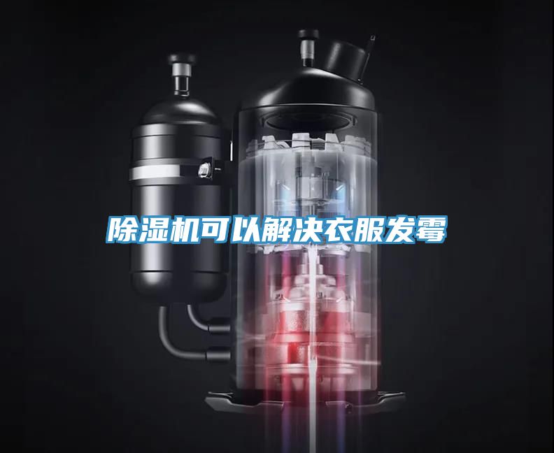 小黄片直播视频可以解决衣服发霉
