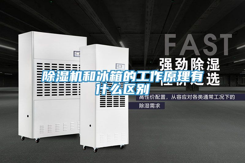 小黄片直播视频和冰箱的工作原理有什么区别