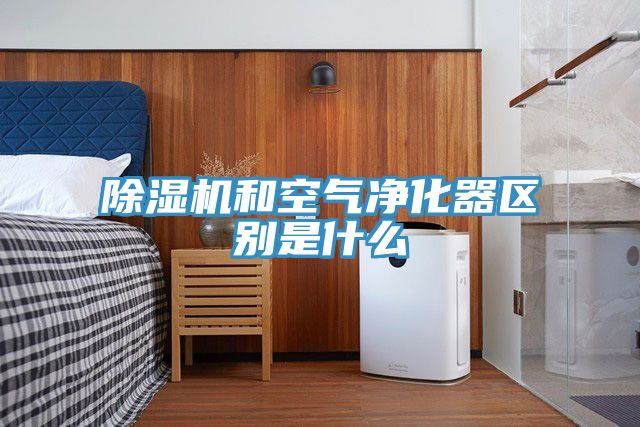 小黄片直播视频和空气净化器区别是什么