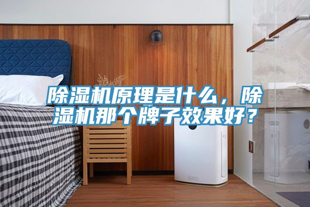 小黄片直播视频原理是什么，小黄片直播视频那个牌子效果好？