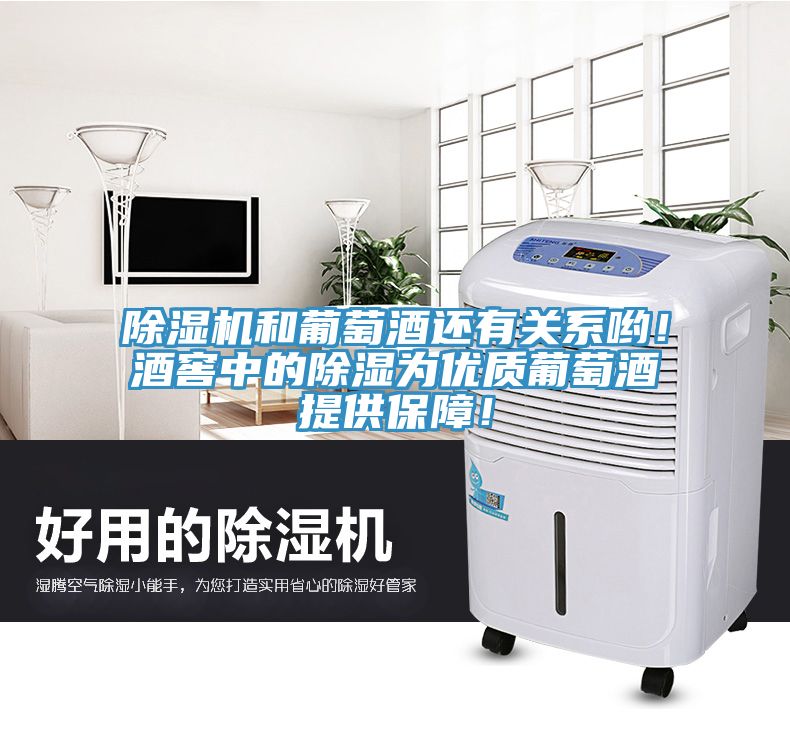 小黄片直播视频和葡萄酒还有关系哟！酒窖中的除湿为优质葡萄酒提供保障！