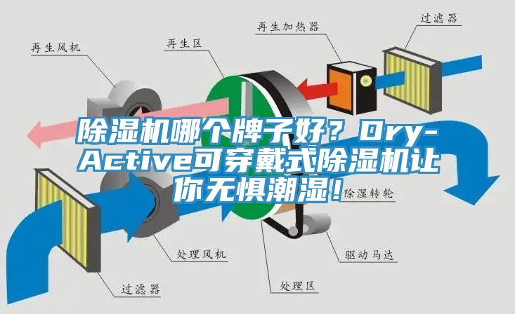 小黄片直播视频哪个牌子好？Dry-Active可穿戴式小黄片直播视频让你无惧潮湿！