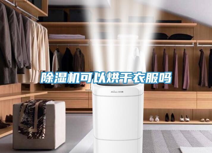 小黄片直播视频可以烘干衣服吗