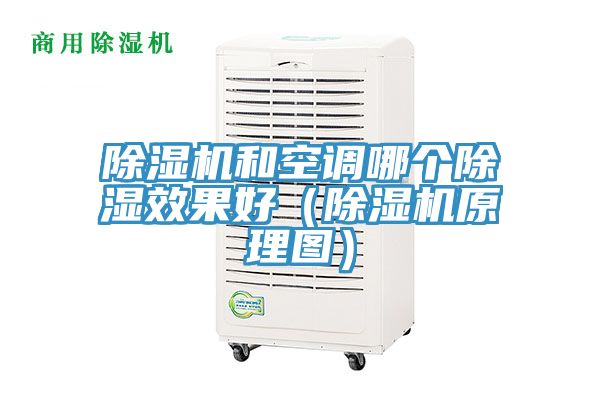 小黄片直播视频和空调哪个除湿效果好（小黄片直播视频原理图）