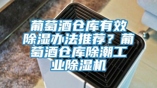 葡萄酒仓库有效除湿办法推荐？葡萄酒仓库除潮工业小黄片直播视频