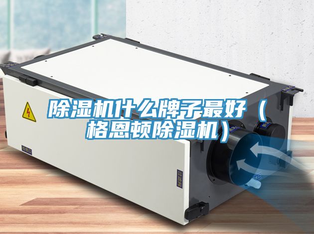 小黄片直播视频什么牌子最好（格恩顿小黄片直播视频）