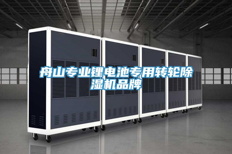 舟山专业锂电池专用转轮小黄片直播视频品牌