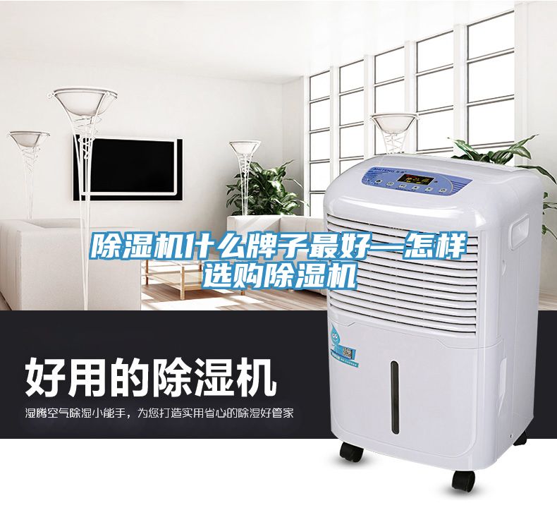 小黄片直播视频什么牌子最好—怎样选购小黄片直播视频
