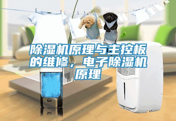 小黄片直播视频原理与主控板的维修，电子小黄片直播视频原理