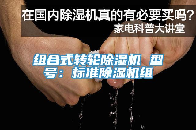 组合式转轮小黄片直播视频 型号：标准小黄片直播视频组