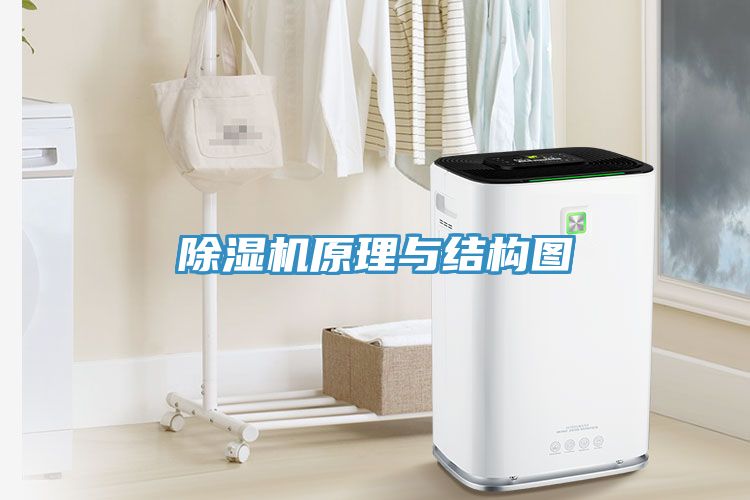 小黄片直播视频原理与结构图