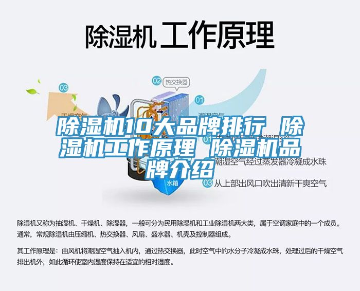 小黄片直播视频10大品牌排行 小黄片直播视频工作原理 小黄片直播视频品牌介绍