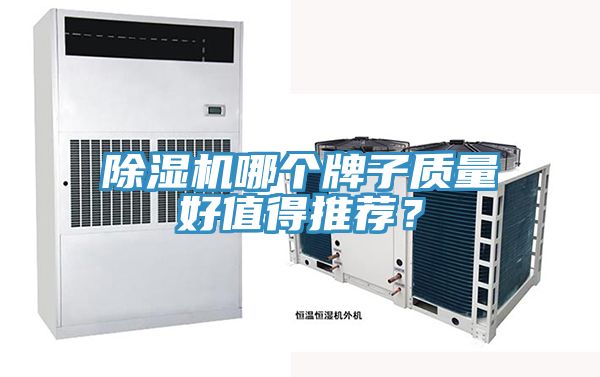 小黄片直播视频哪个牌子质量好值得推荐？