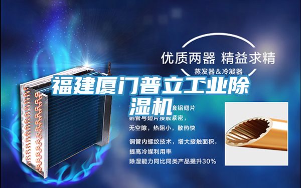 福建厦门普立工业小黄片直播视频