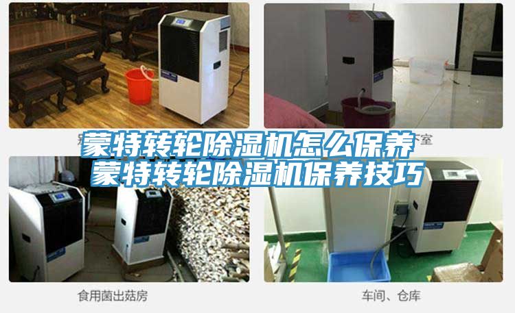 蒙特转轮小黄片直播视频怎么保养 蒙特转轮小黄片直播视频保养技巧