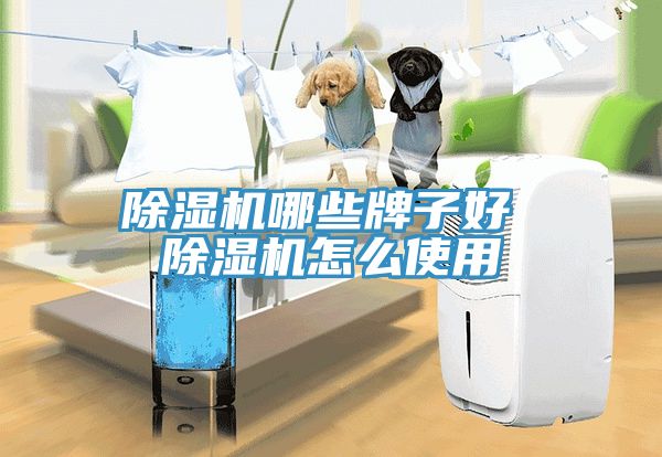 小黄片直播视频哪些牌子好 小黄片直播视频怎么使用