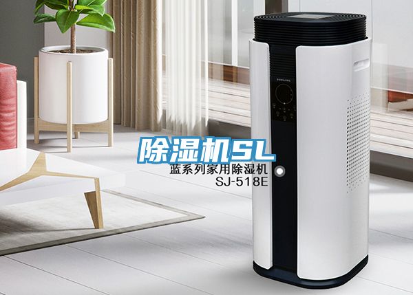 小黄片直播视频SL