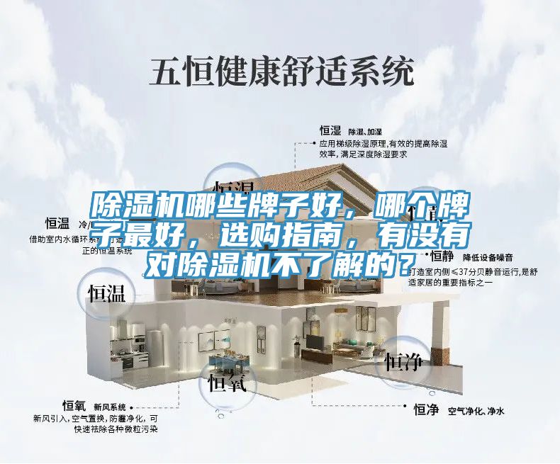 小黄片直播视频哪些牌子好，哪个牌子最好，选购指南，有没有对小黄片直播视频不了解的？