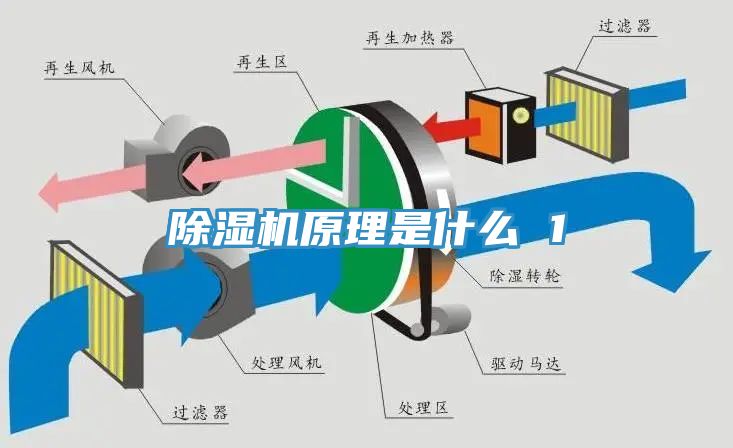 小黄片直播视频原理是什么 1