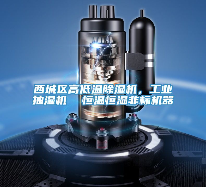 西城区高低温小黄片直播视频，工业抽湿机  恒温恒湿非标机器