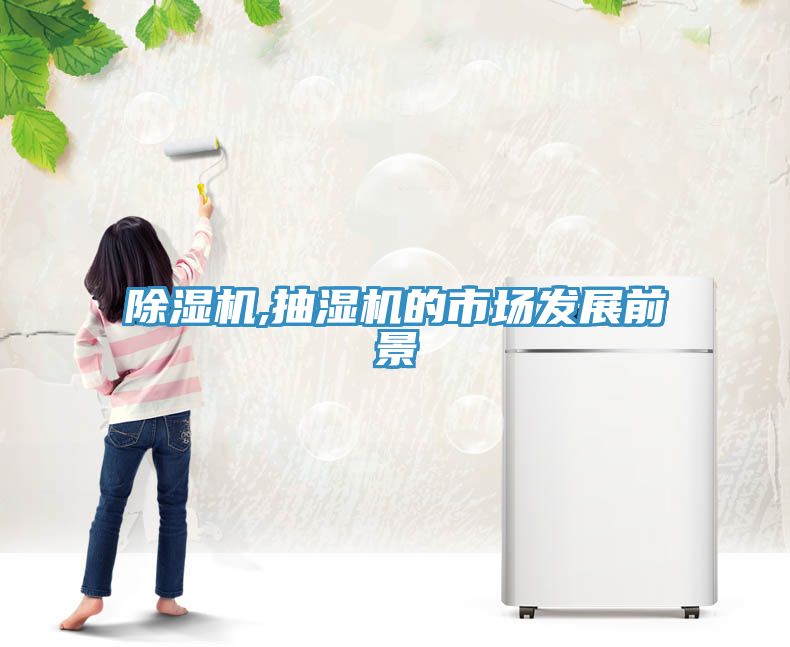 小黄片直播视频,抽湿机的市场发展前景