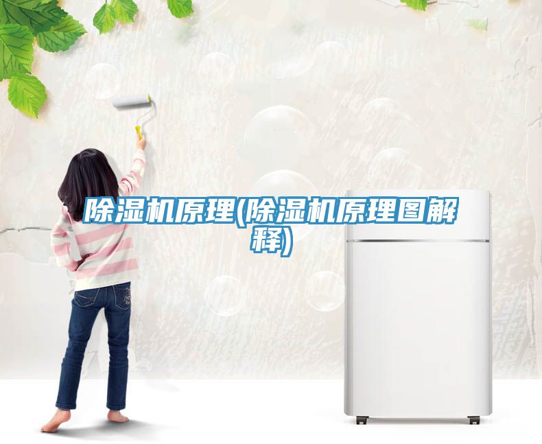 小黄片直播视频原理(小黄片直播视频原理图解释)
