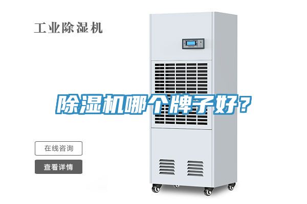 小黄片直播视频哪个牌子好？