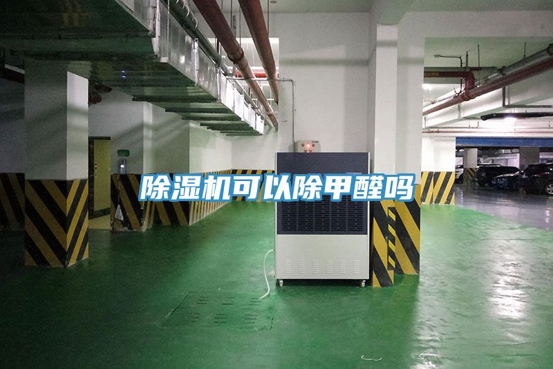 小黄片直播视频可以除甲醛吗