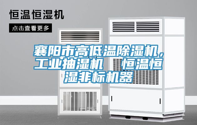 襄阳市高低温小黄片直播视频，工业抽湿机  恒温恒湿非标机器