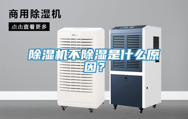 小黄片直播视频不除湿是什么原因？