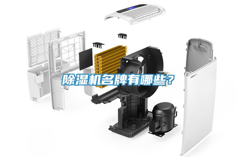 小黄片直播视频名牌有哪些？