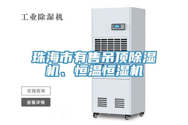 珠海市有售吊顶小黄片直播视频、恒温恒湿机