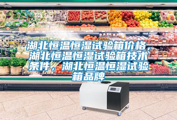 湖北恒温恒湿试验箱价格，湖北恒温恒湿试验箱技术条件，湖北恒温恒湿试验箱品牌
