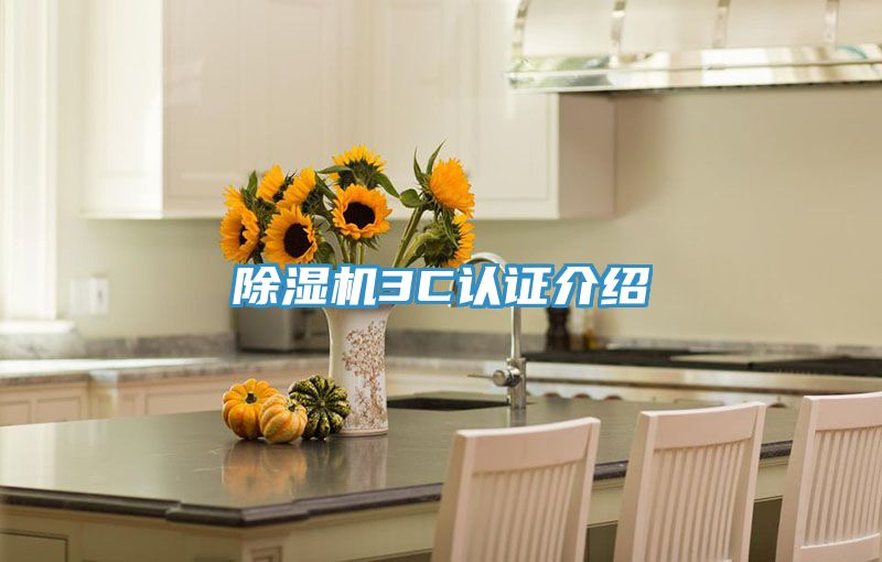 小黄片直播视频3C认证介绍
