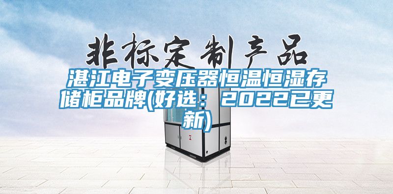 湛江电子变压器恒温恒湿存储柜品牌(好选：2022已更新)