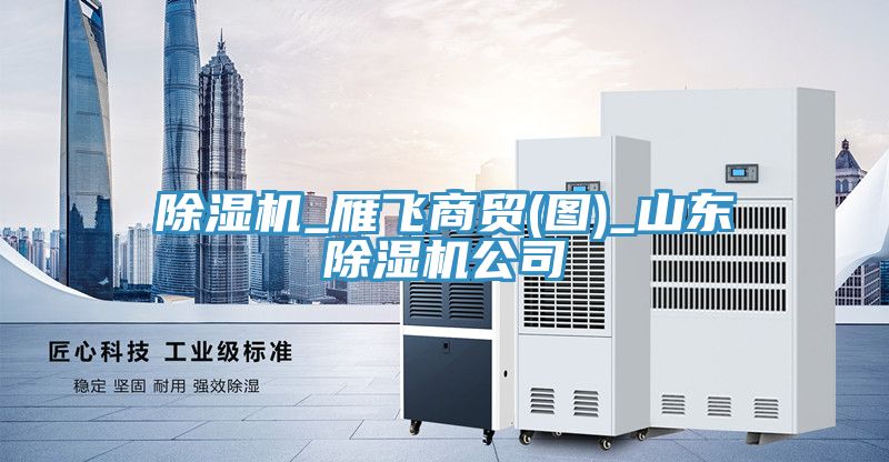 小黄片直播视频_雁飞商贸(图)_山东小黄片直播视频公司