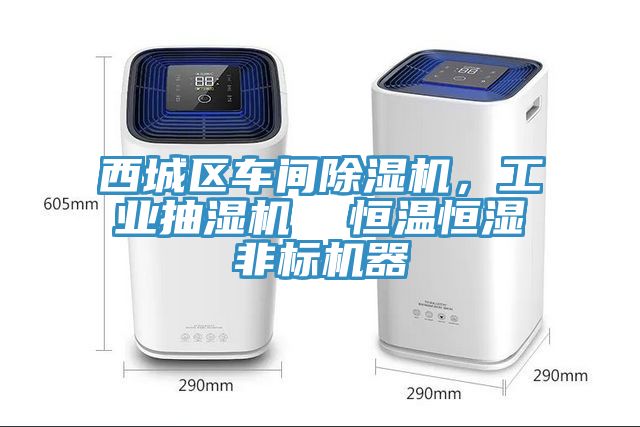 西城区车间小黄片直播视频，工业抽湿机  恒温恒湿非标机器