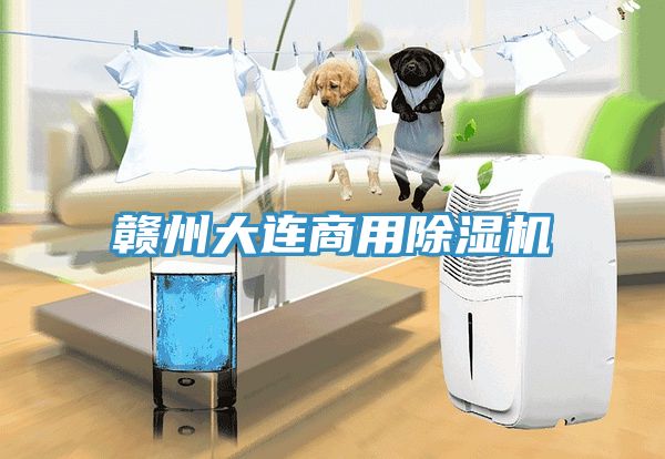 赣州大连商用小黄片直播视频