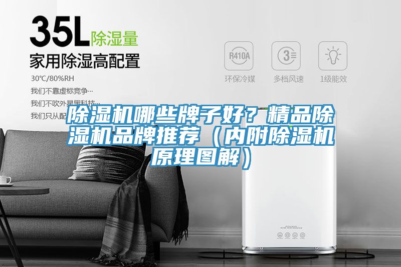 小黄片直播视频哪些牌子好？精品小黄片直播视频品牌推荐（内附小黄片直播视频原理图解）