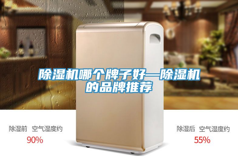 小黄片直播视频哪个牌子好—小黄片直播视频的品牌推荐