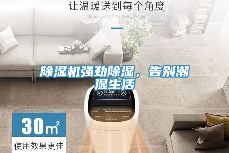 小黄片直播视频强劲除湿，告别潮湿生活