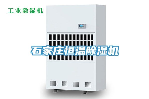 石家庄恒温小黄片直播视频