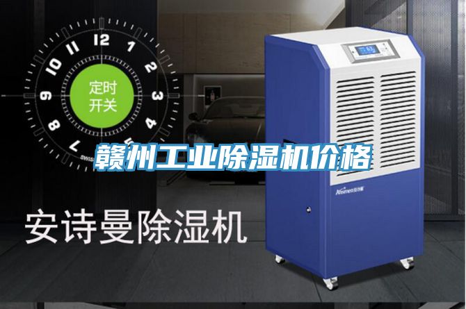 赣州工业小黄片直播视频价格