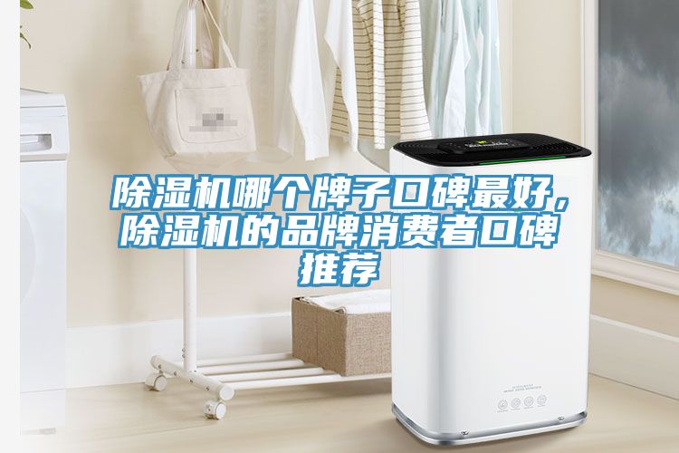 小黄片直播视频哪个牌子口碑最好，小黄片直播视频的品牌消费者口碑推荐